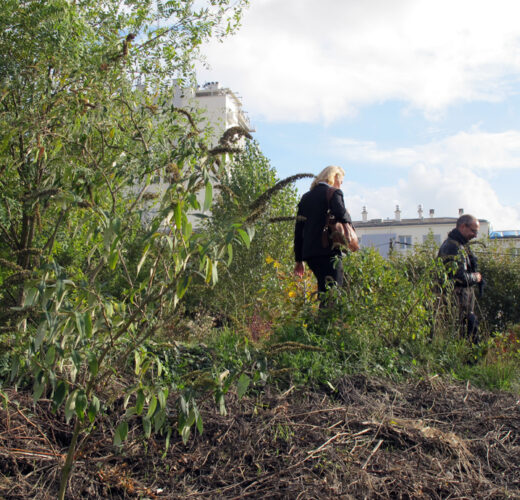 Vhyb_Murs-a-Peches_16oct2012_33