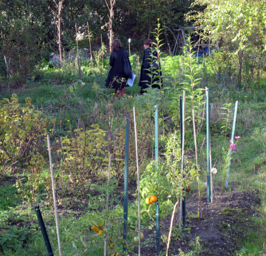 Vhyb_Murs-a-Peches_16oct2012_46