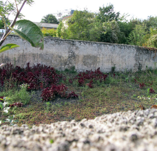 Vhyb_Murs-a-Peches_16oct2012_68