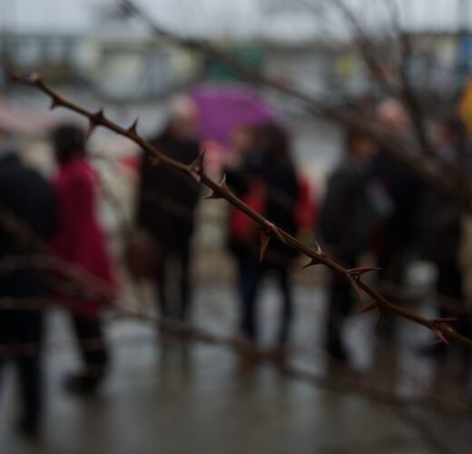 Ville Hybride 30 janvier 2013 94