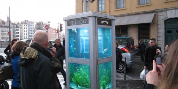 cabine téléphonique en aquarium_benedetto_bufalino_benoit_deseille
